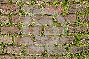 Nice red bricks with grass background