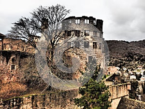 Nice romantic -Heidelberg is a town in the state of Baden-WÃ¼rttemberg in Germany, halfway between Stuttgart and Frankfurt am Main