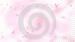 Nice Sakura Blossom Isolated Vector. Magic Falling 3d Petals Wedding Texture. Japanese Blurred Flowers Illustration. Valentine