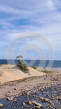 Nice scenery beach and the sea