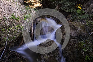 Stream Long Exposure