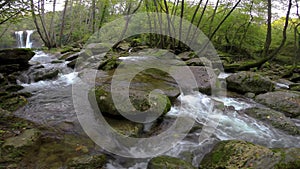 Nice small creek on the forest in Spain in a cloudy day