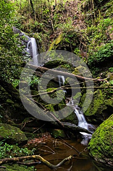 Nice small waterfall in deep forest