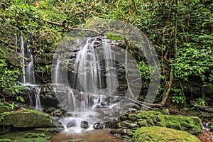 Nice small waterfall in forest