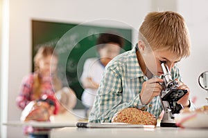 Nice smart boy having a biology class