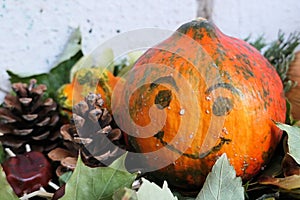 Nice smiling orange pumpkin, full with painted face on front, arranged with cone, chestnuts and leaves