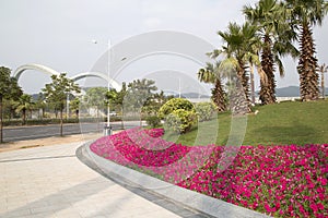 Nice spring flower bed on street side Nanning city