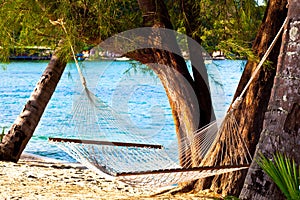 Nice straw hammock on the beach