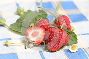 Nice strawberry