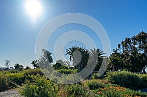 Nice sunlight and blue sky landscape with at Palo Alto, California , USA