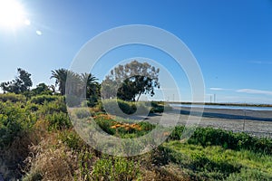 Nice sunlight and blue sky landscape with at Palo Alto, California , USA