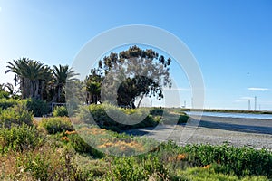 Nice sunlight and blue sky landscape with at Palo Alto, California , USA