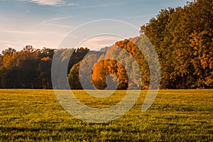 Nice sutumn foliage with meadow and sky