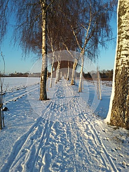 WinterWalk