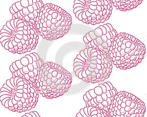 Nice template with drawing crimson raspberries sketch