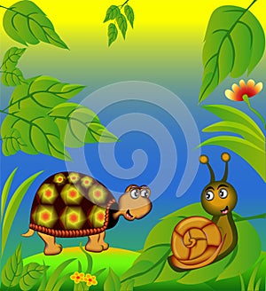 Nice terrapin and snail in herb
