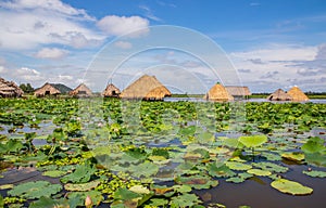 Tonle sap sea in Cambodia Asia