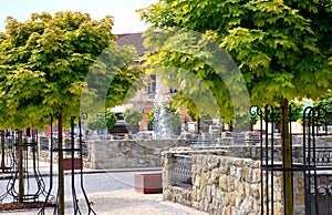 Nice town square with many green trees during hot summer day