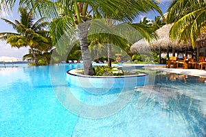 Nice tropic pool