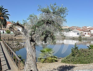 Fishing pond in La Coronada, Badajoz - Spain photo