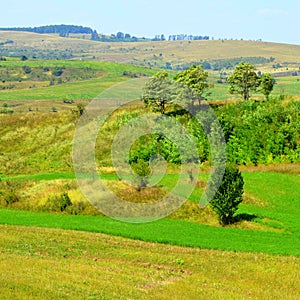 Nice typical rural landscape in the plains of Transylvania, Romania.