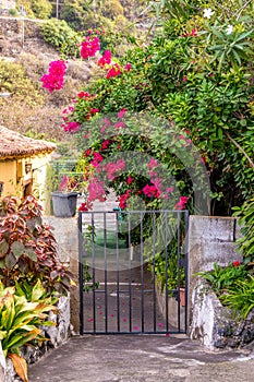 Nice vacation view of a little gate to a Spanish house with exotic bougainvillea flowers among. Pretty summer postcard image of a