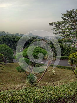 nice view garden field