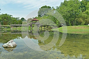 Nice view in the garden