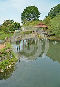 Nice view in the garden