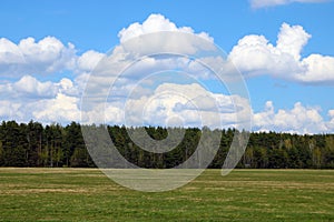 Nice view of the green forest and white clouds against the blue sky