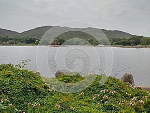 Nice view ???? Hong Kong Disneyland inspiration lake  nice nature photography