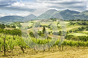 Nice view in Italy Marche near Camerino photo