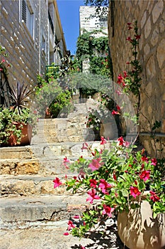 Nice view the old Safed