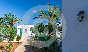 Nice view of the with palm trees in Hotel in Crete, Greece