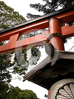 Nice view of a red torii gate in Japan photo