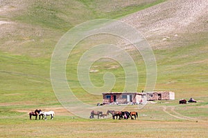 Nice view on Sary-Mogul a village