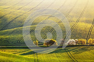 The nice view to the landscape in the sunny day is opened from the green valley covered with agricultural. South Moravian Region photo