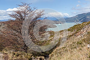 Nice view of Torres Del Paine National Park, Chile