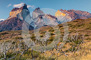 Nice view of Torres Del Paine National Park, Chile