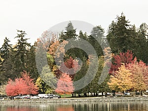 Nice view in Vancouver with colorful trees, Canada in Fall Season
