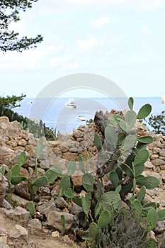 Nice views of Ibiza Saint Antoni.