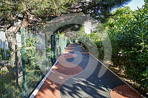 A nice walking path in the city