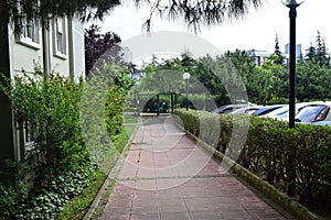 A nice walking path in the garden