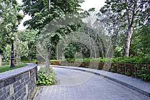 A nice walking path in the park