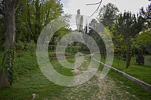 A nice walking path in the park