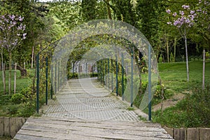 A nice walking path in the park