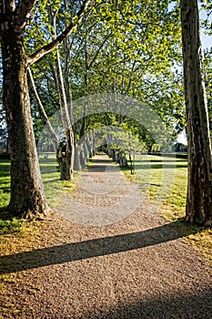 Nice walking road