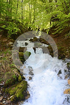 Nice waterfall in forest