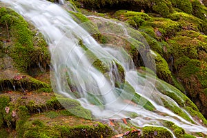 Waterwall