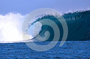 Nice wave